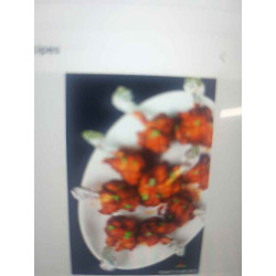 Chicken Lollipop