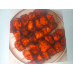 Tandoori Tandoori